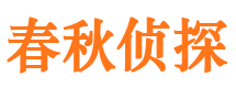 镜湖市私人侦探